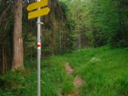 2013-07-20_Regina-F-Rau_Kochel-Rabenkopf (606).JPG
